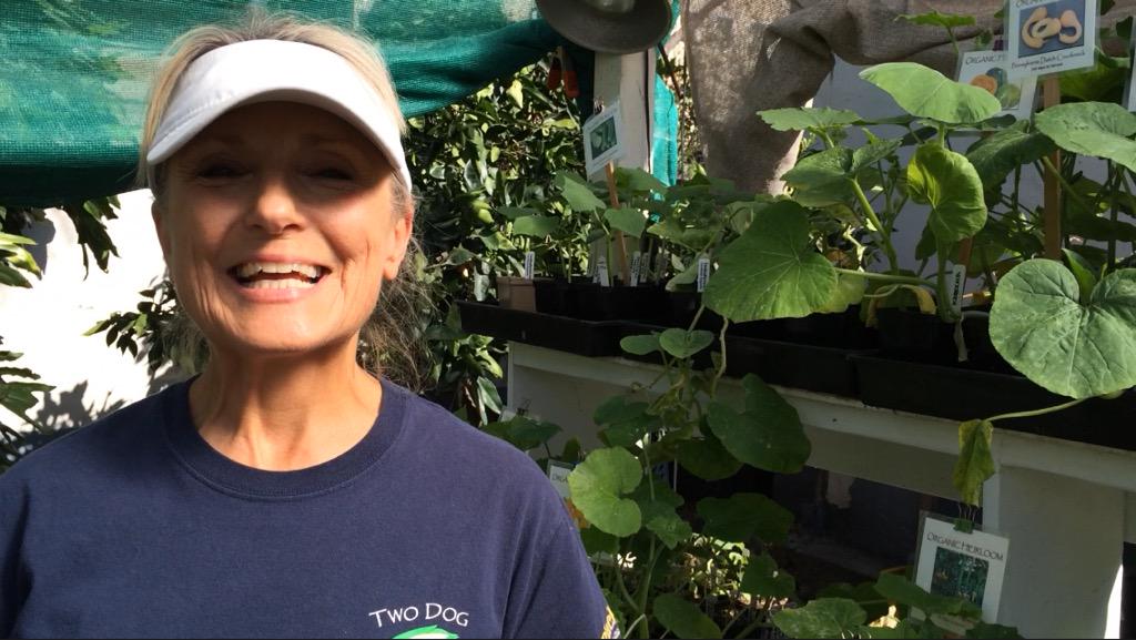 BrenHaas's tweet image. Visited the only certified organic garden center in LA.Joanne's FAV veggie to grow IS corn! #buckeyeINLA #gardenchat