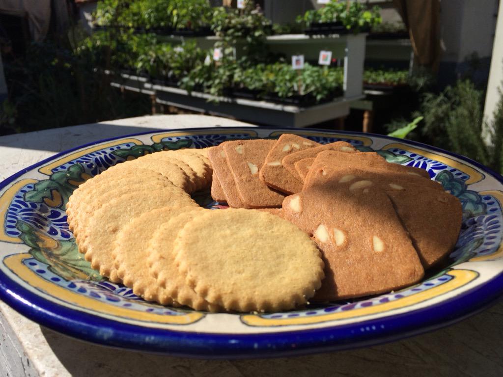 BrenHaas's tweet image. Visited the only certified organic garden center in LA.Joanne's FAV veggie to grow IS corn! #buckeyeINLA #gardenchat