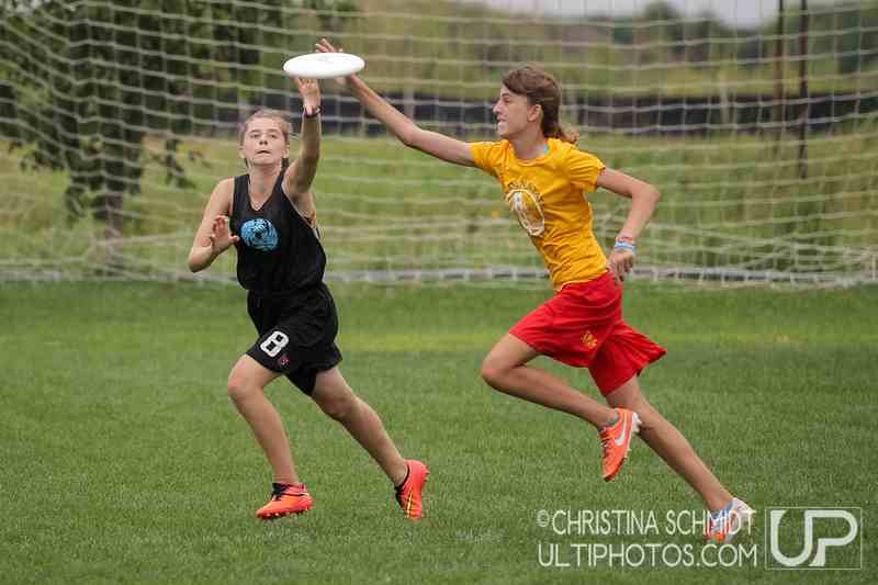 botbycc's tweet image. Friends battle for the disc.