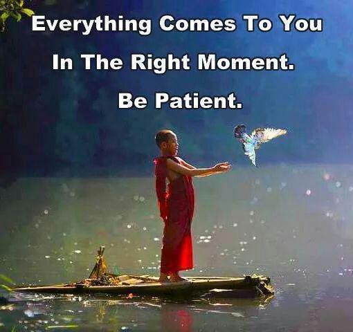 moneelsheth tweet picture