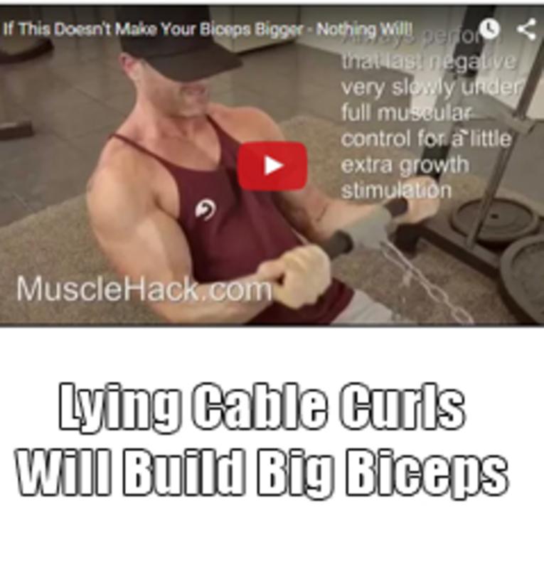 Pretty_And_Fit's tweet image. Lying Cable Curls For Bigger Biceps via @musclehacker zoot.li/82iah #buildmuscle #exercisetutorials