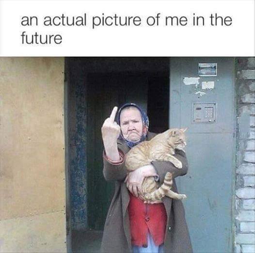 MikesTightEnd's tweet photo. #becausecats #lovecats #truestory #funny #fastforward #ifuckinglovecats
#catsandtattoos http://t.co/3Tm5qNexGH