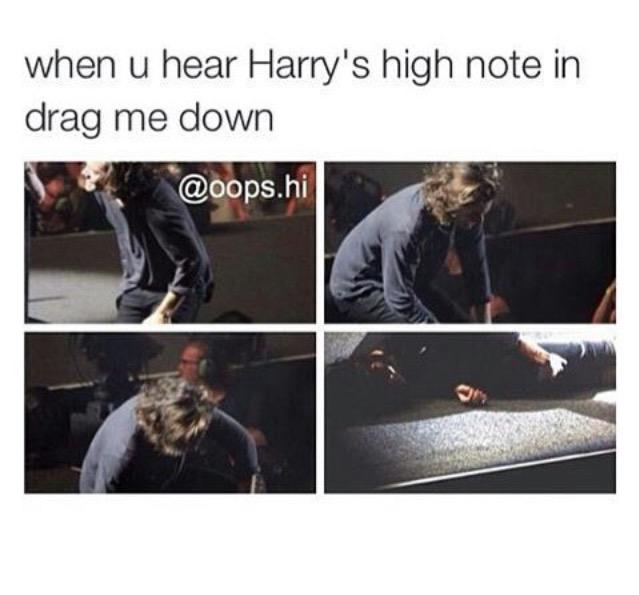 UniteHarry tweet picture