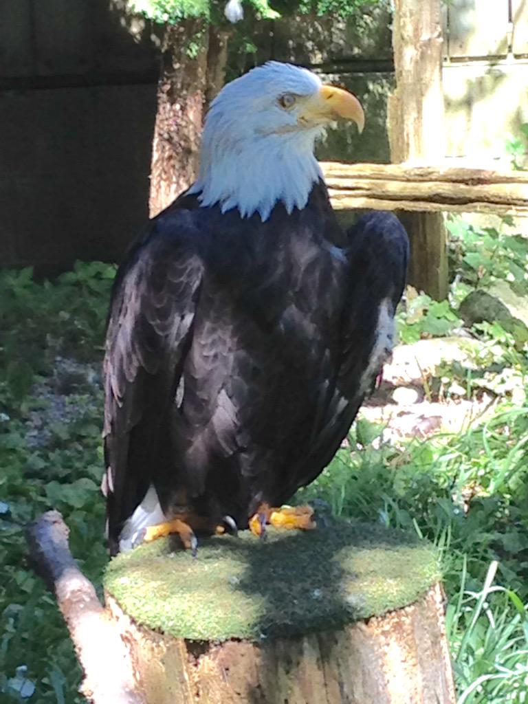 KimPerrotta57's tweet photo. Wonderful time at mountsberg conservation authority in Halton region. #creatinghse http://t.co/pEfeZVUn1j