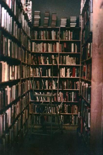 ErinnxDD's tweet photo. La sociedad de hoy en día, es una completa basura...Prefiero, la Literatura :B (??. http://t.co/AyNLQ5Y7gg