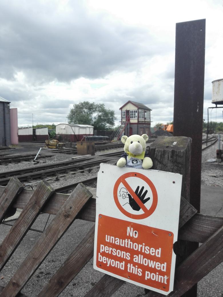 philmaxbear's tweet photo. Ah ha... I'm a bear not a person... no stopping me! @ChasewaterRail http://t.co/cQ4X2mhg4w