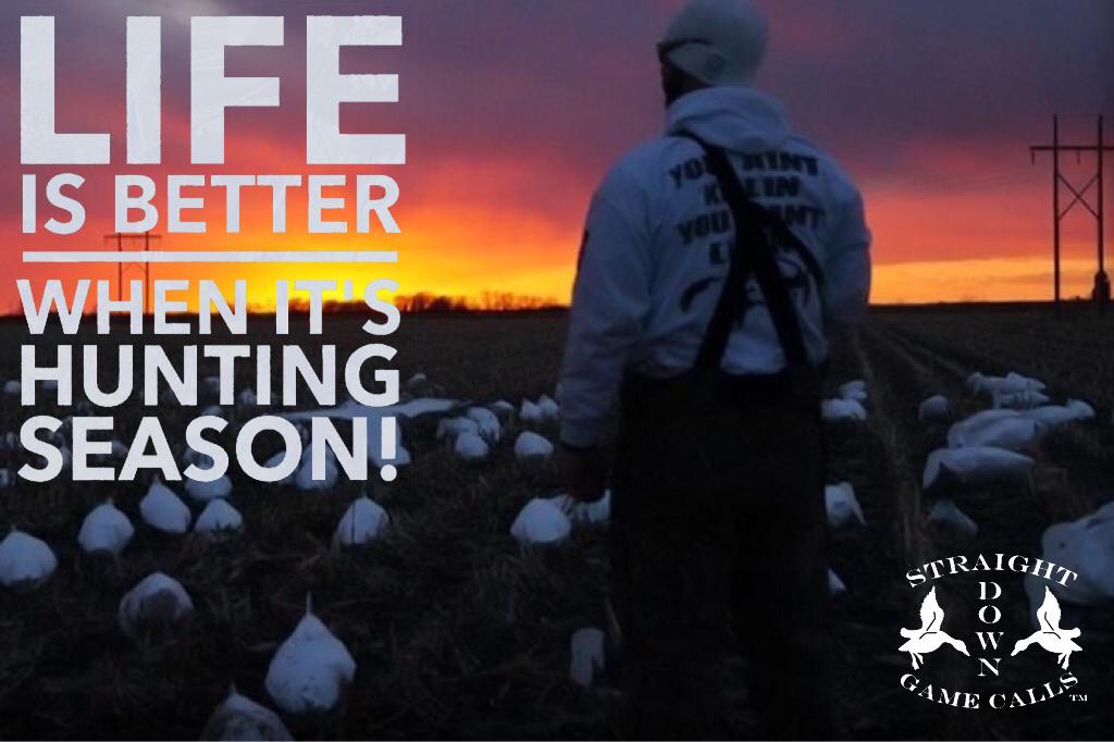 Winglock Retrievers tweet media