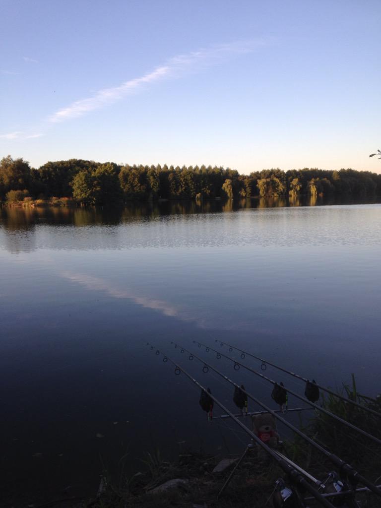 MarkSallis1's tweet photo. Fishabil 😜 http://t.co/ybVHaaXTB2