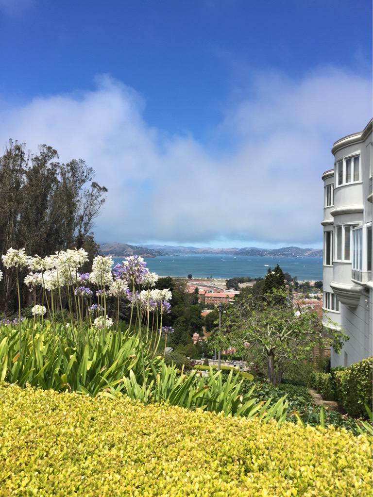 JessicaGomez13's tweet image. #SanFrancisco #pacheights gorgeous day for stairs #workout  w @thuzy