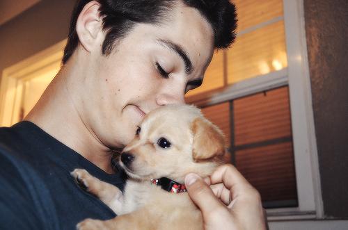 someyoutube's tweet photo. Literally so cute!  How could i not share this! #dylan http://t.co/40877KqbWr