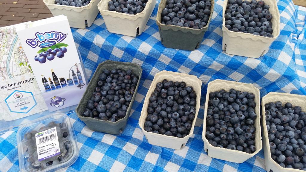 Smaakloze blauwe bessen gegeten? Kijk op de verpakking uit welk land ze komen. Nederlandse blauwe bessen zijn lekker!