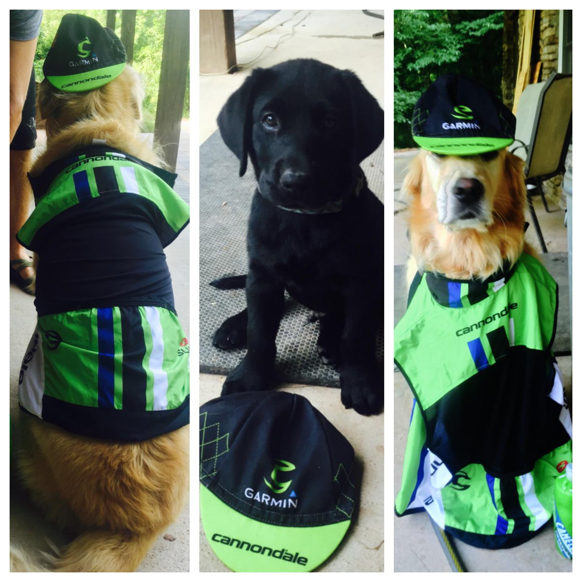 JSTankinator's tweet photo. The whole family is cheering you on!! COME ON, @JoeDombro, @Ride_Argyle!!! http://t.co/IpUUL2k2Ow