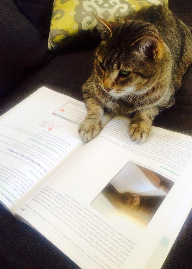 xszil's tweet photo. #InternationalCatDay.Danny Moon reading #XL40 page w his pic. #metacat #Excel http://t.co/NWRJl7GhQI
