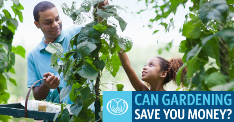 Allstate's tweet photo. Spending a few dollars on seeds (and investing some time) may help lower your grocery bills: http://t.co/k7Kw5Ki4TV http://t.co/lyinx8MGn2
