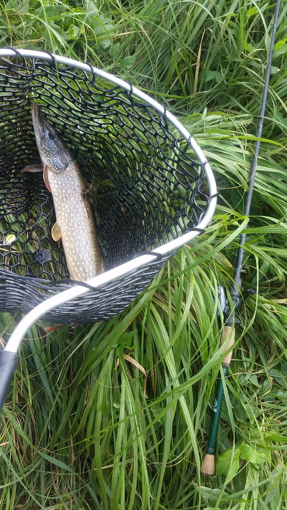 MccowanLuke's tweet photo. @CPTJackOntario I got 12 crick #northernpike on my #jackontariocustomrod today. It worked awesome! Thanks again. http://t.co/kU8wMHYcBU