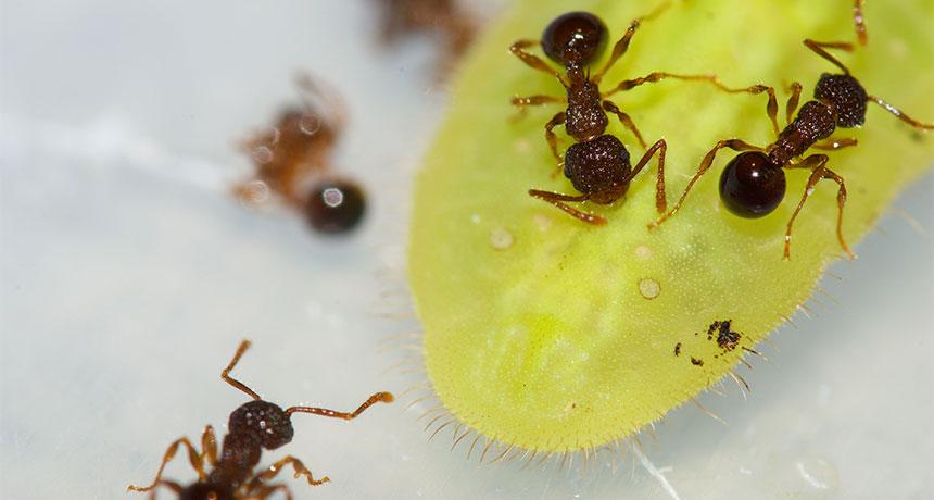 ScienceNews tweet picture