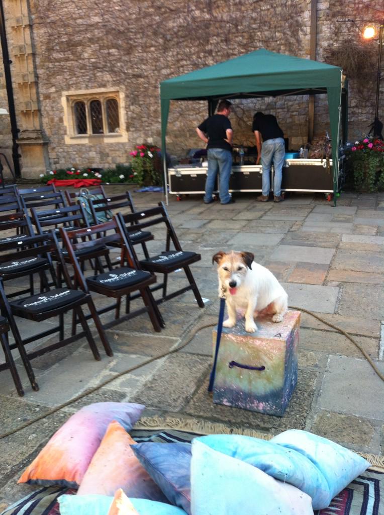 RMoonTheatre's tweet photo. @ChangelingThe @EastwellManor #Finn preparing for this evening's performance #2gentshayfever #ShakespeareDogs http://t.co/KXK9xj0f85