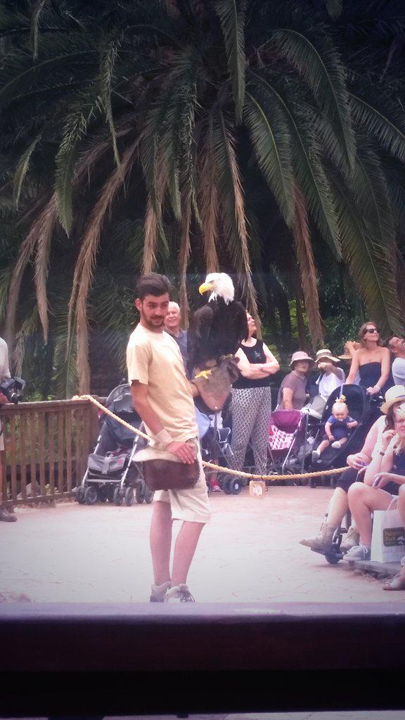 AbbieLouJ's tweet photo. @Adrian765Dunn had a lovely day at the zoo xxx http://t.co/CAcck3Hswd