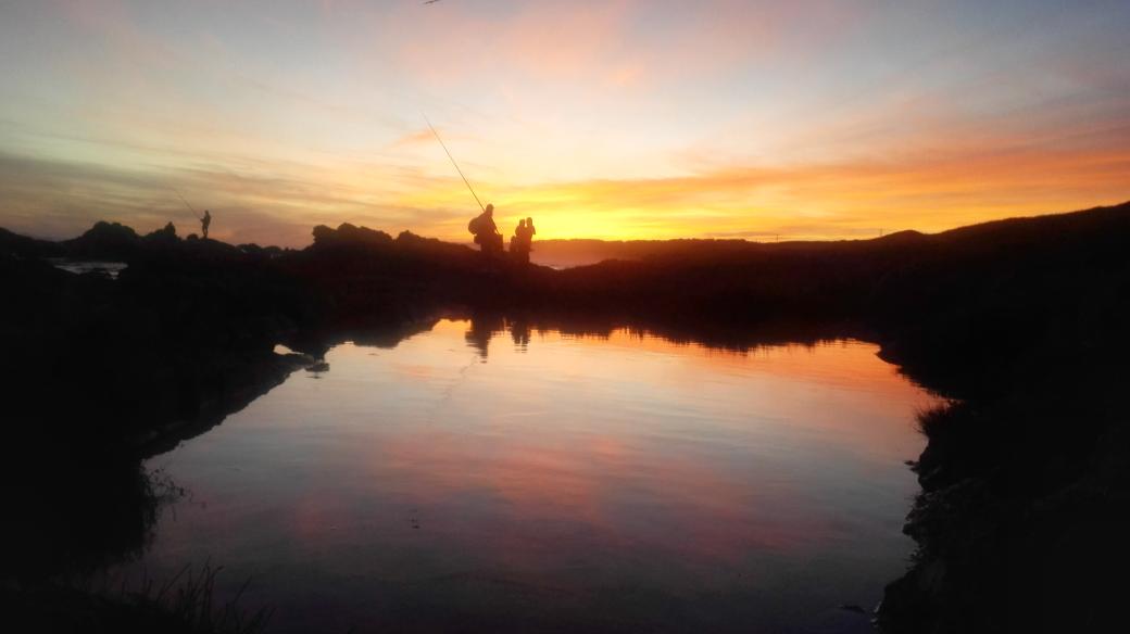 El Hervé tweet media