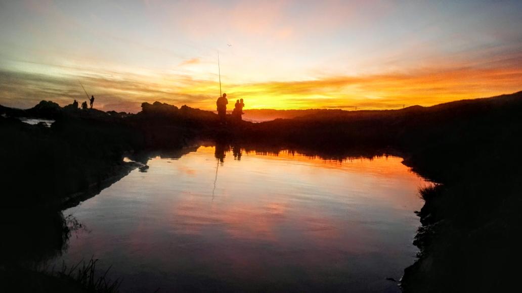 El Hervé tweet media