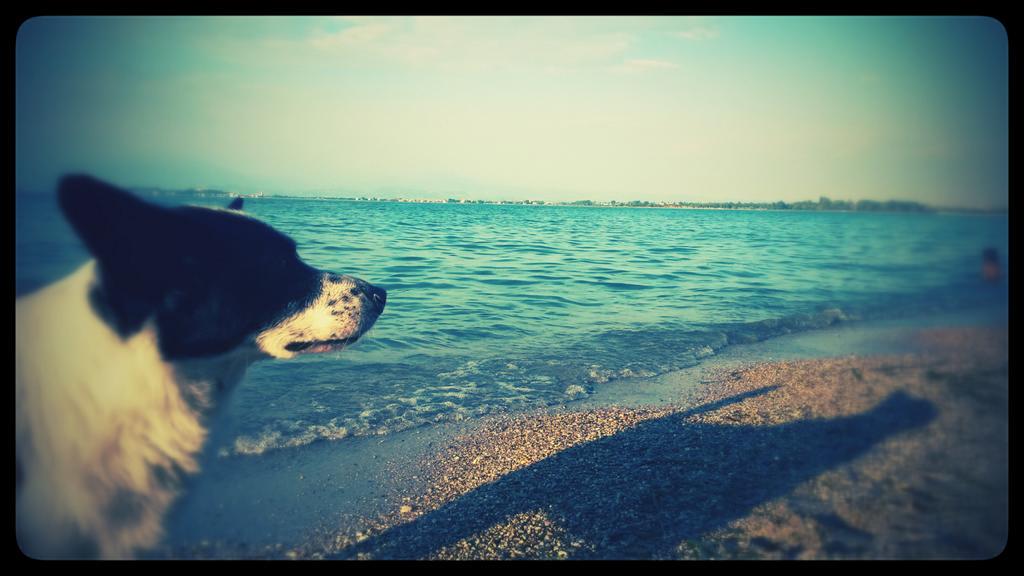 robynoody's tweet photo. Perche' ogni giorno puo' essere speciale! #Perryishappyness http://t.co/I4PSkD9HfQ