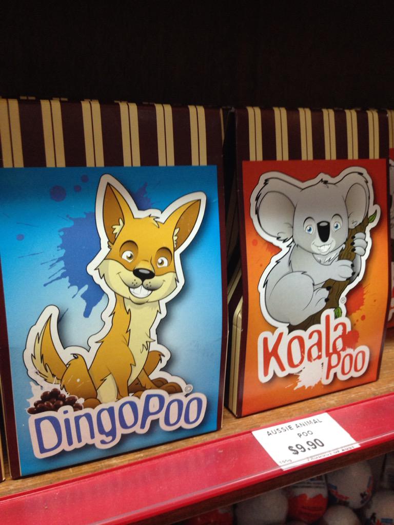 jynson7's tweet photo. Koala poo anyone? http://t.co/F4ViTUhtbn