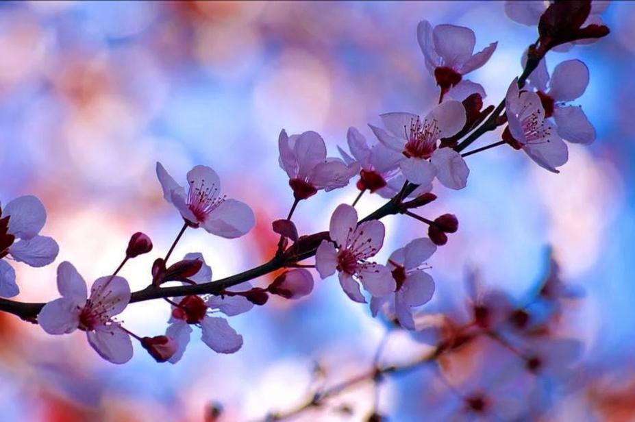 mjesusgz's tweet photo. http://t.co/HKIYybIpnZ