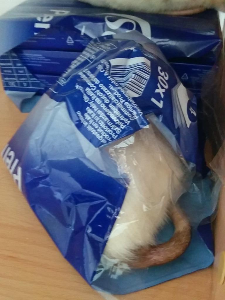 ddksr's tweet photo. #rats come in packages :) http://t.co/kDykvMKDoa