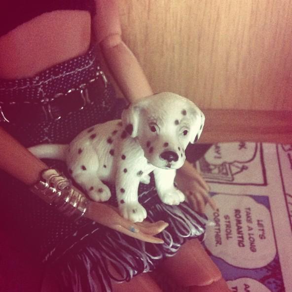 UnbrokenAlexx's tweet photo. This is Pepe, the cuttest dog ever! 🐶😍💕 http://t.co/icGAdxlWqd
