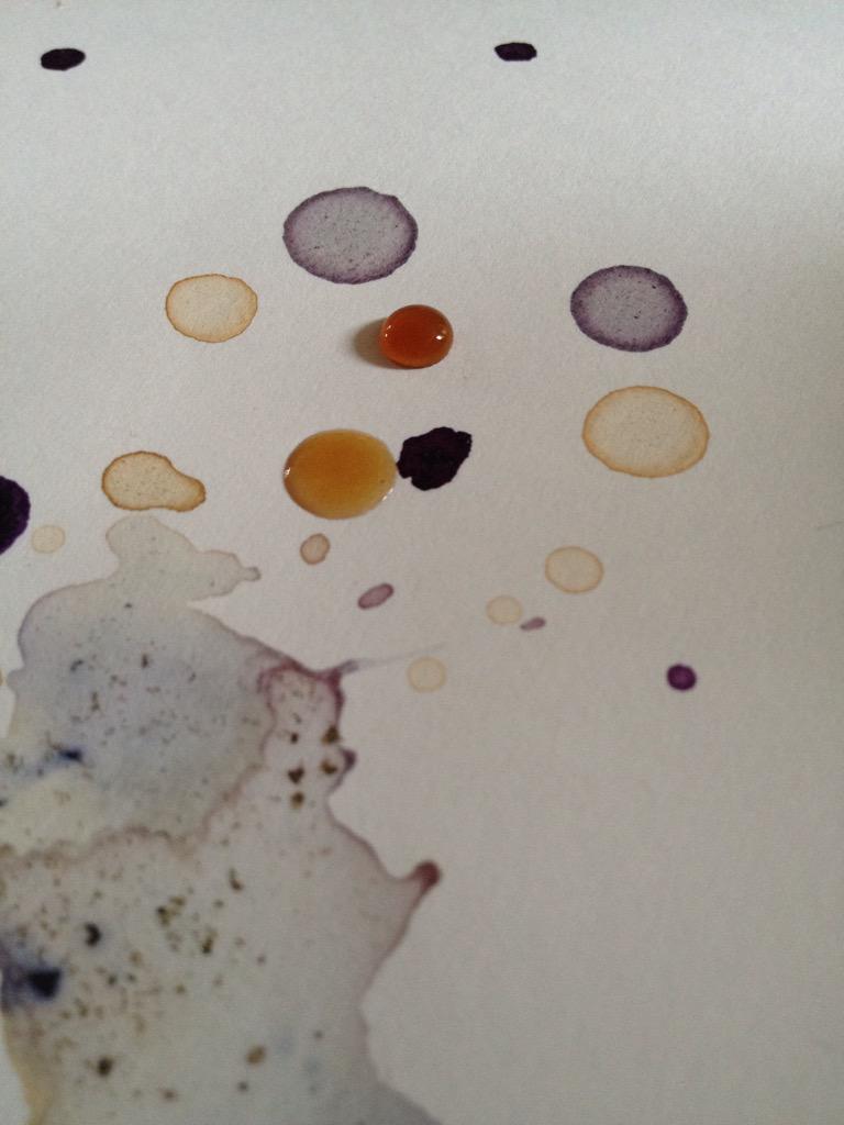 Daphne ter Wee tweet media