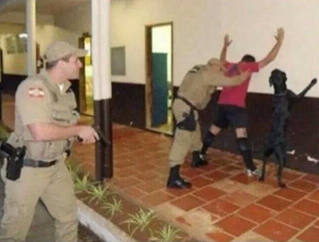 RAPCITYTV's tweet photo. Even Black Dogs Know What time it is when fedz got a Strap http://t.co/izbuaWFMYV