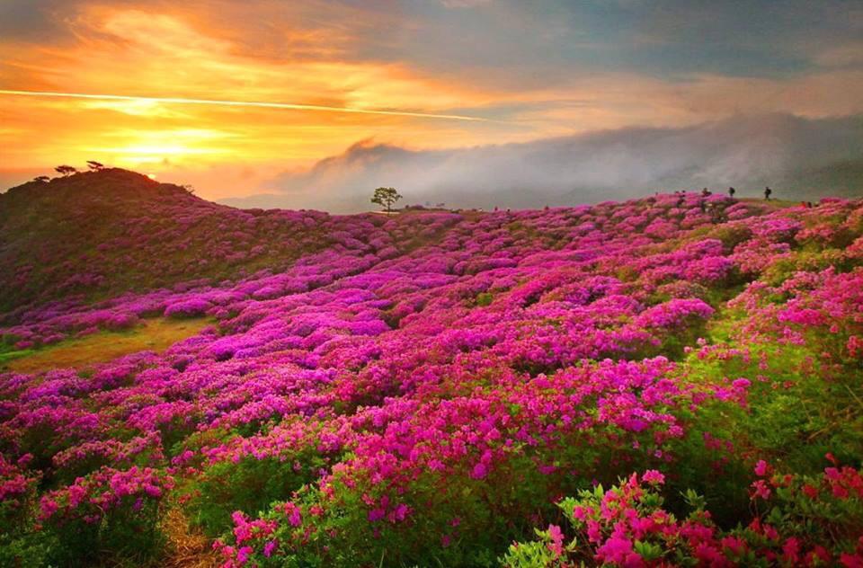 JenaC2's tweet photo. Beautiful morning✨✨✨ http://t.co/nxl6R6oK77