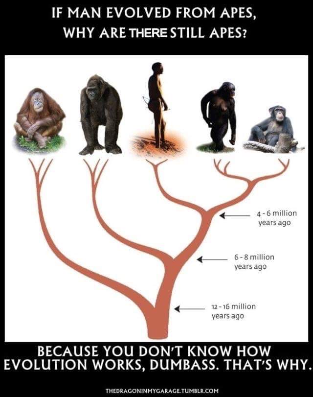 Paul Currie tweet media