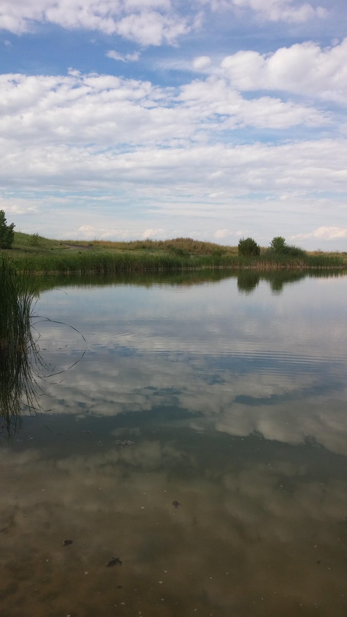 scottysbaits's tweet photo. Found a little pond and little something in it. Not bad for my first fish in Denver. Still missing the family though http://t.co/hEYXyV861B