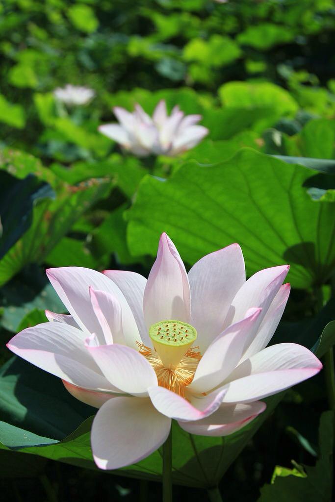 mongddu's tweet photo. http://t.co/4r8QtA6dvo