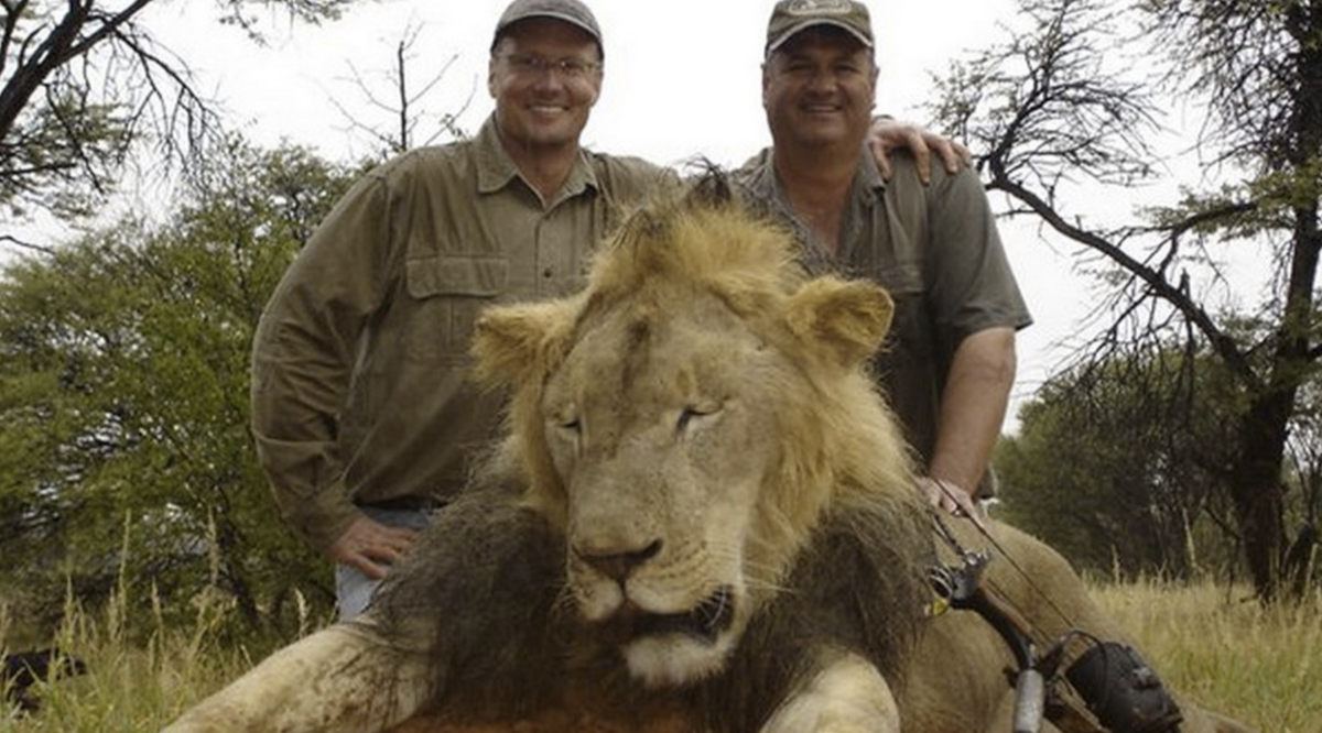 AsteriskToday's tweet photo. Lion-poaching dentist #WalterPalmer joins a long and storied history of super-evil dentists. http://t.co/tIQeVA1fEI http://t.co/3n0fUOgN6d