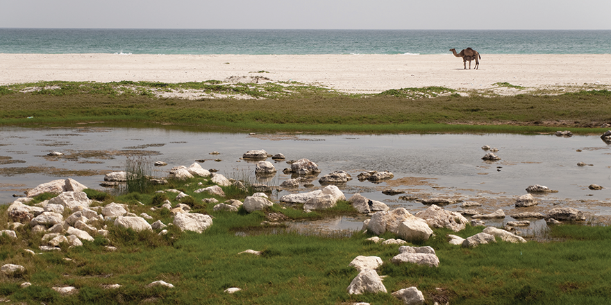 OoredooOman's tweet photo. استمتع بإستخدام شبكة Ooredoo هذا الخريف. #شارك_صلالة
Enjoy the Khareef with Ooredoo #HappyNetwork. #ShareSalalah http://t.co/gjZvg6SmhL