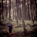 Photo by Dimas Alfi Rinaldi (@dimasHBeat)