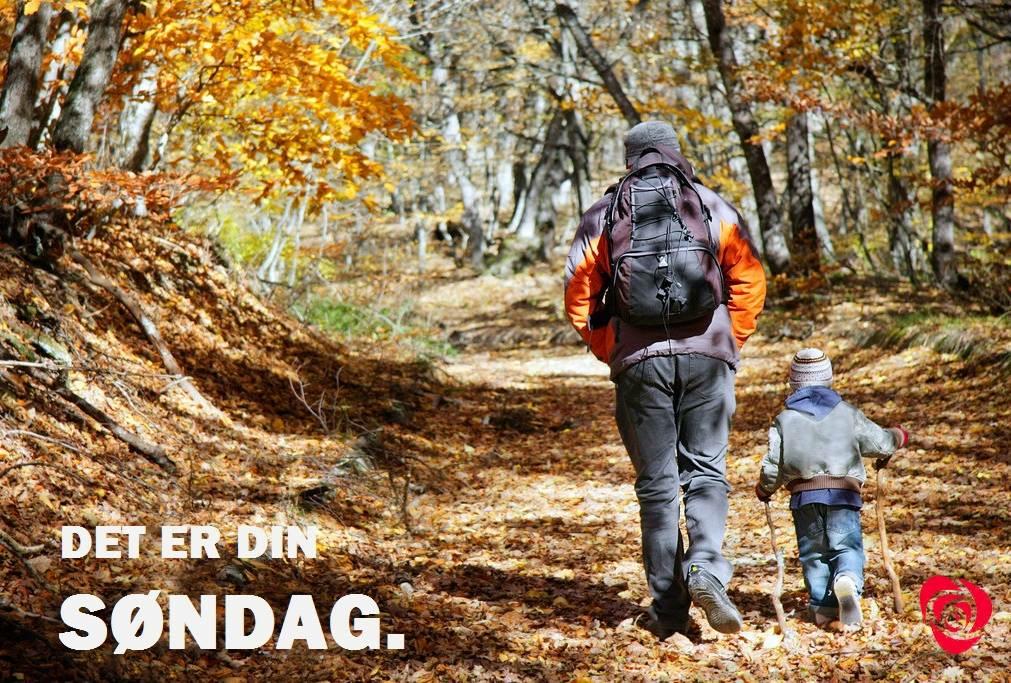 AskoyAP's tweet photo. Fortsatt god søndag. http://t.co/MmimqCl7PW