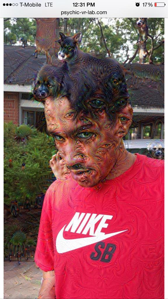 damnitttdaniel's tweet image. Trippy.. #GoogleDeepDream