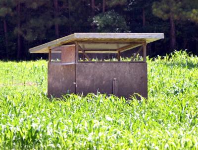 POPKennels's tweet photo. Johnny House for dog training at POP Kennels #pointers http://t.co/c9DVUTyHfY
