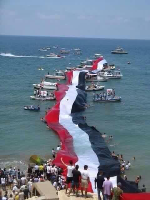 hashed050's tweet image. 