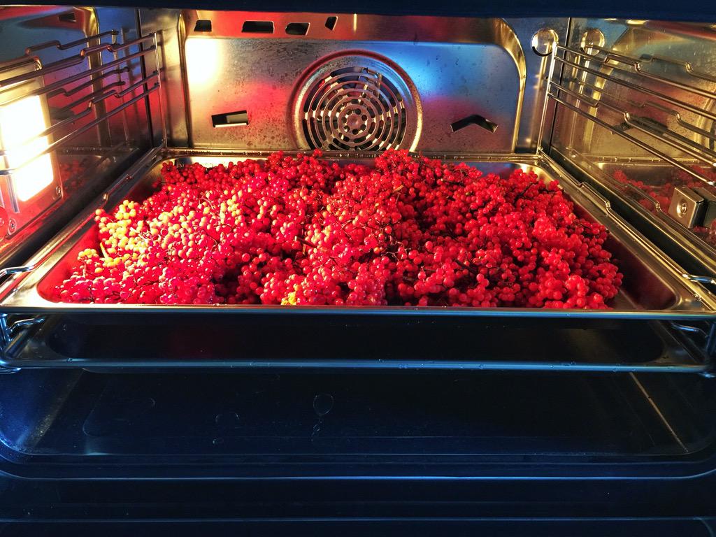 Nervenzusammenbruch Ausblick Reise entsaften mit steamer v zug Jugendlicher Buchhaltung heute Abend