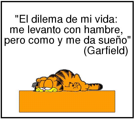 Imagenes de Garfield con Frases