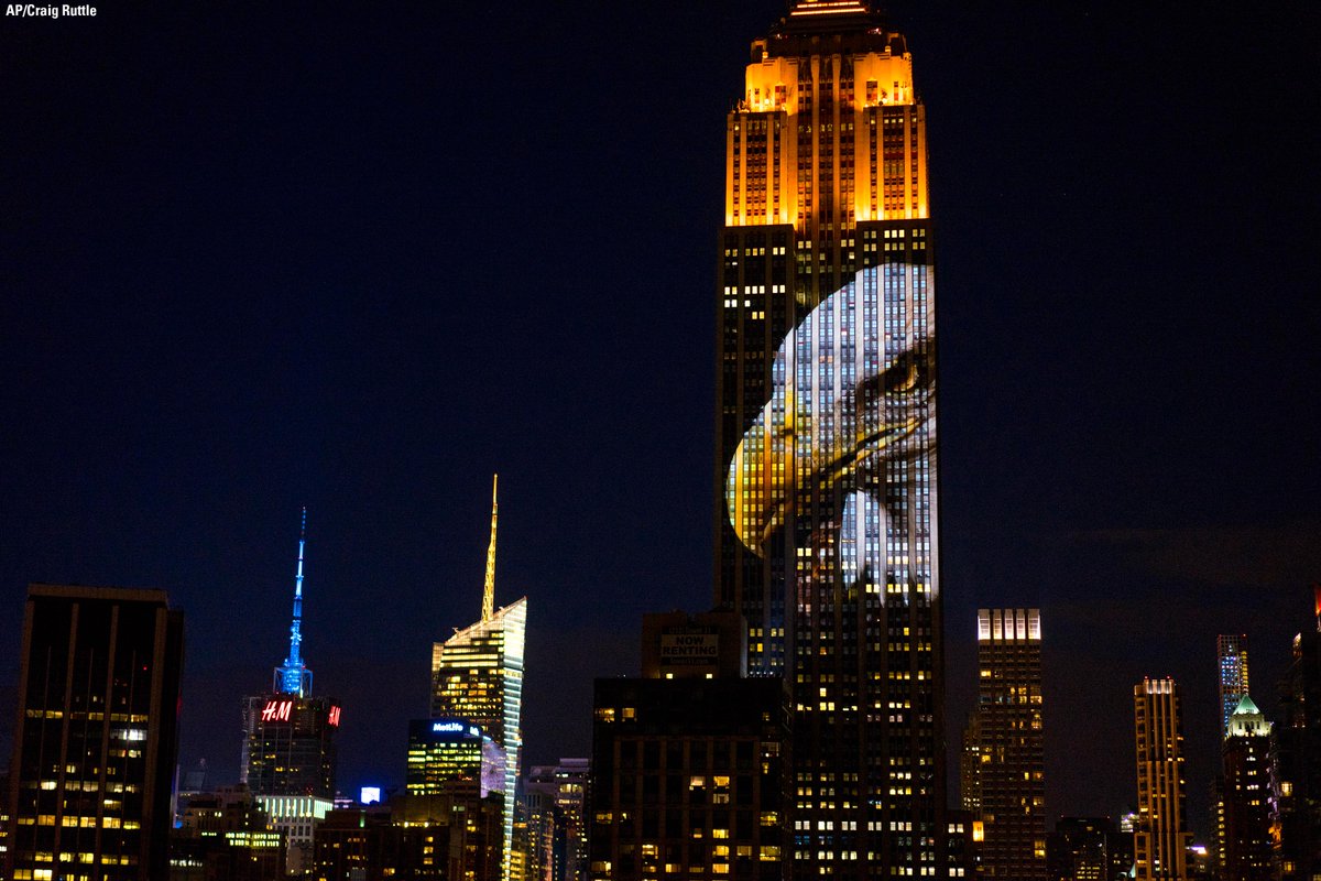 FoxNews's tweet photo. .@EmpireStateBldg features giant images of #EndangeredSpecies in  "Projecting Change" presentation. http://t.co/EyGZpF60pq