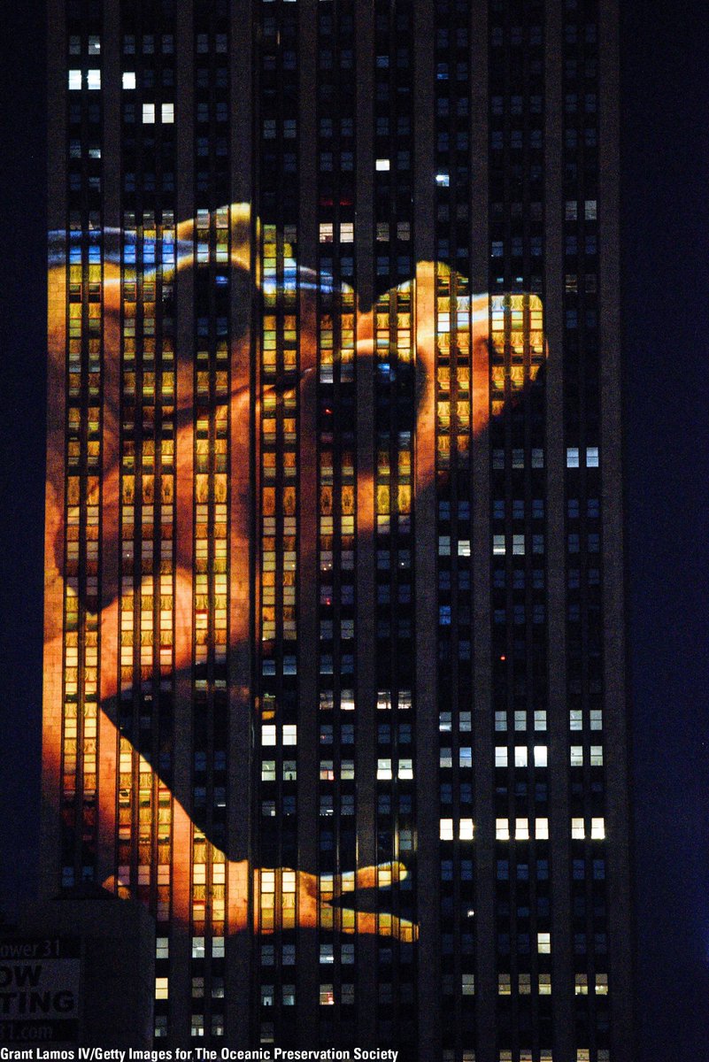 FoxNews's tweet photo. .@EmpireStateBldg features giant images of #EndangeredSpecies in  "Projecting Change" presentation. http://t.co/EyGZpF60pq