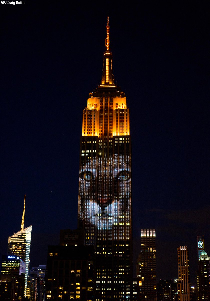 FoxNews's tweet photo. .@EmpireStateBldg features giant images of #EndangeredSpecies in  "Projecting Change" presentation. http://t.co/EbJjJ9TK4e