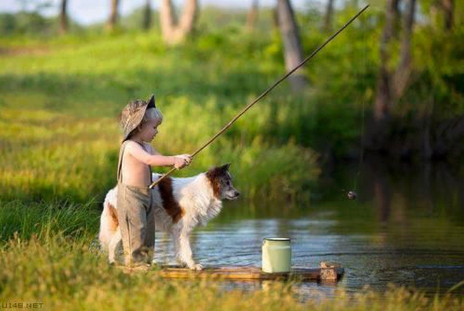 Snuggles84's tweet photo. Lovely #dogs http://t.co/8kPdkbDDVn