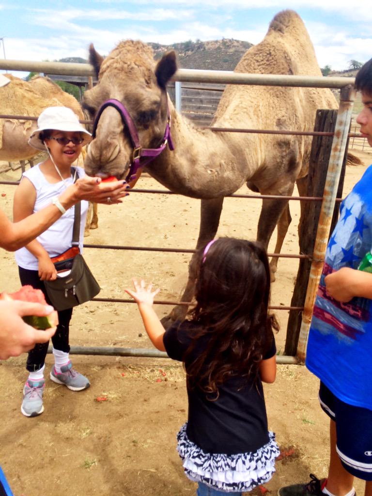 capabilityranch's tweet photo. Camel riding activity fun @OasisCamelDairy #specialneeds Please help fund events. Donate @ http://t.co/XnKIxm4V5Y #❤️ http://t.co/UBore3Hn4m