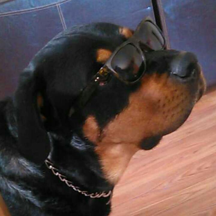 ShefDaChef's tweet photo. MOOD http://t.co/N1SMUXYXLa